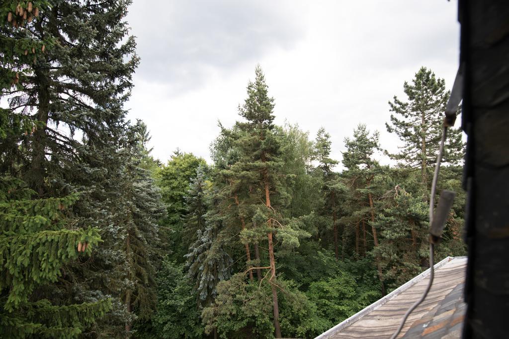 Villa Augustusberg Petrovice  Εξωτερικό φωτογραφία