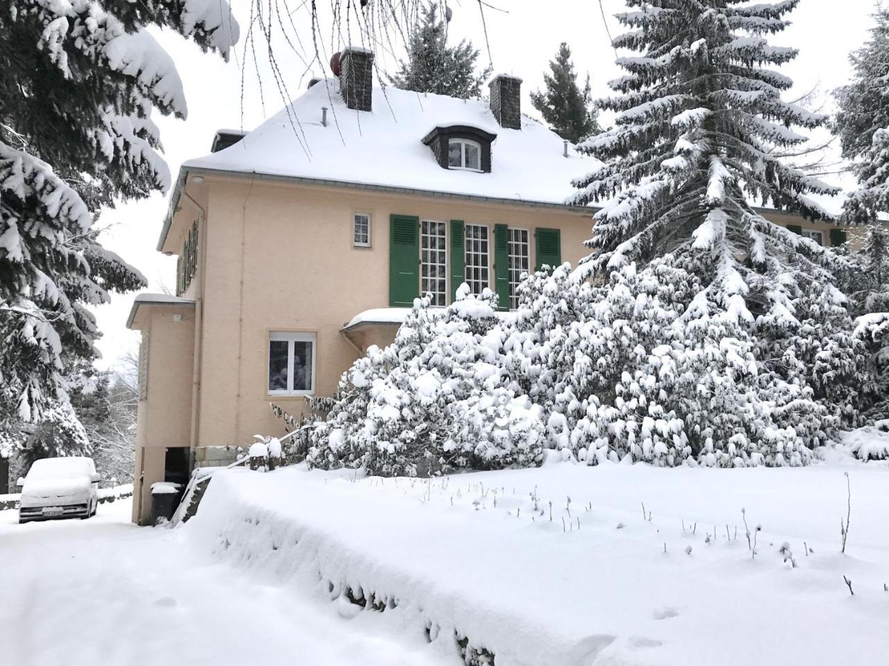 Villa Augustusberg Petrovice  Εξωτερικό φωτογραφία